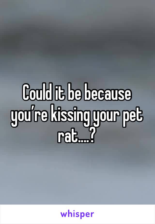Could it be because you’re kissing your pet rat....?