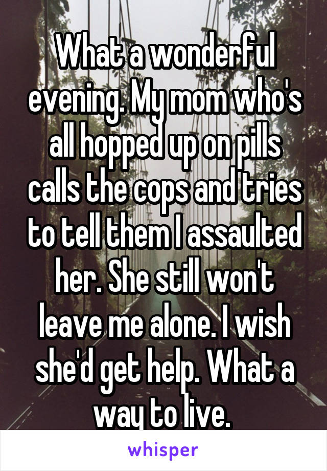 What a wonderful evening. My mom who's all hopped up on pills calls the cops and tries to tell them I assaulted her. She still won't leave me alone. I wish she'd get help. What a way to live. 