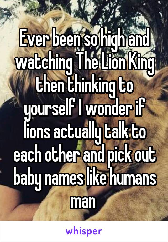 Ever been so high and watching The Lion King then thinking to yourself I wonder if lions actually talk to each other and pick out baby names like humans man 