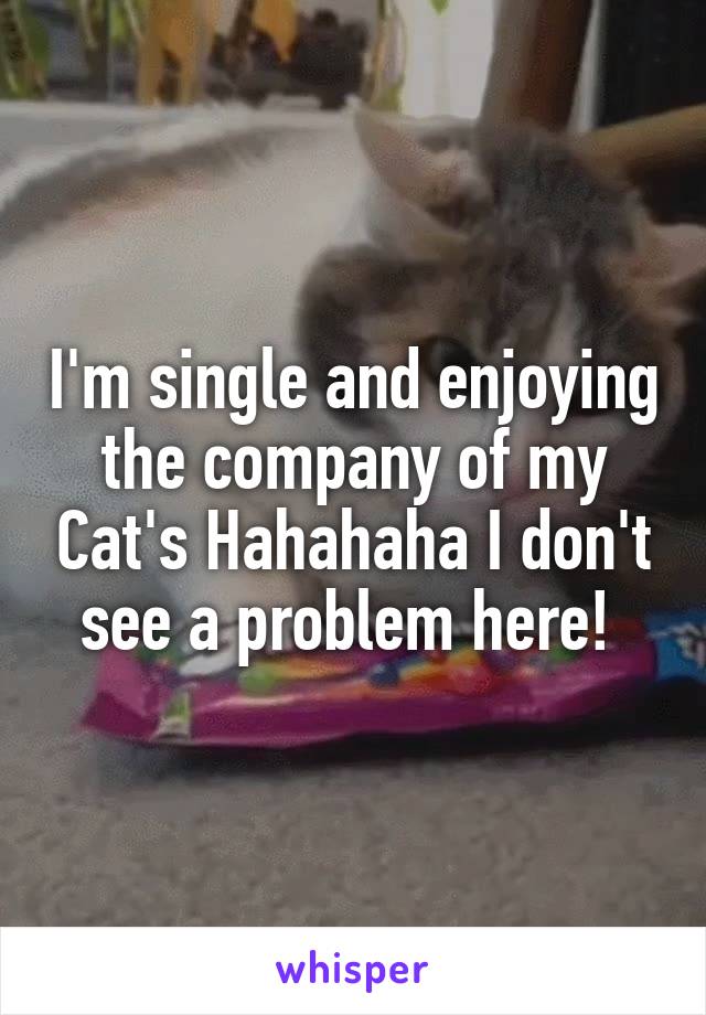 I'm single and enjoying the company of my Cat's Hahahaha I don't see a problem here! 
