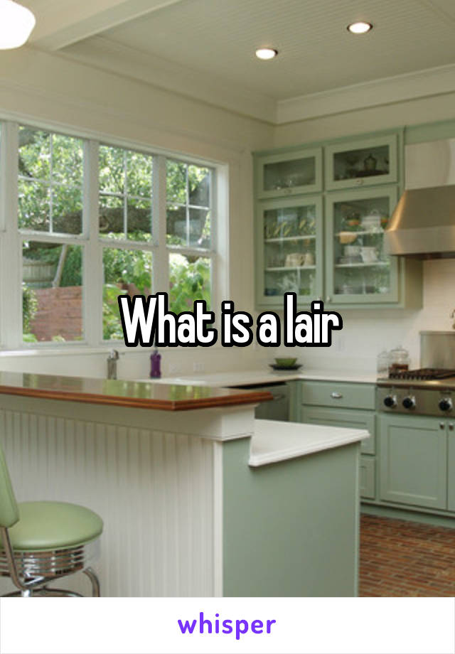 What is a lair