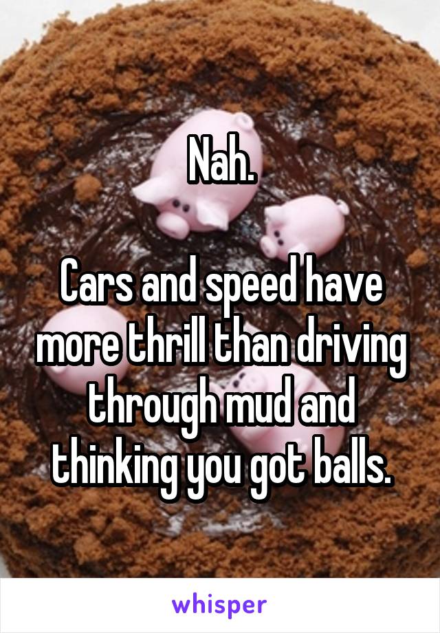 Nah.

Cars and speed have more thrill than driving through mud and thinking you got balls.