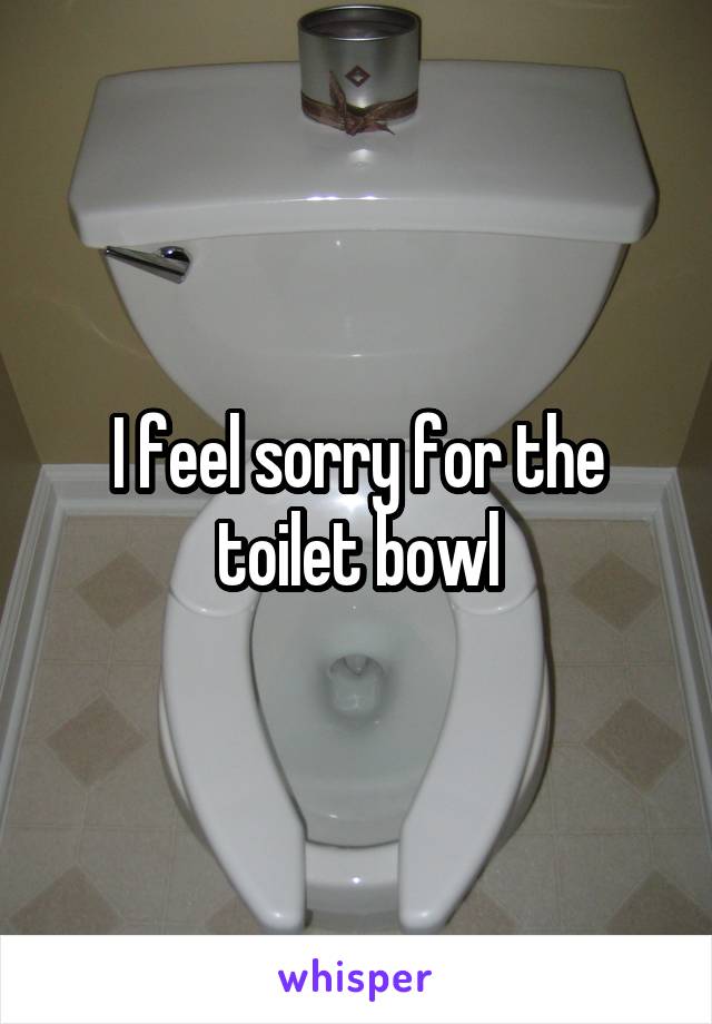 I feel sorry for the toilet bowl
