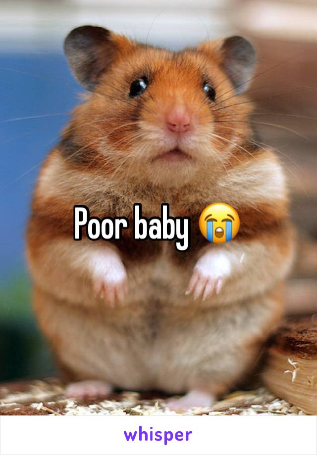 Poor baby 😭