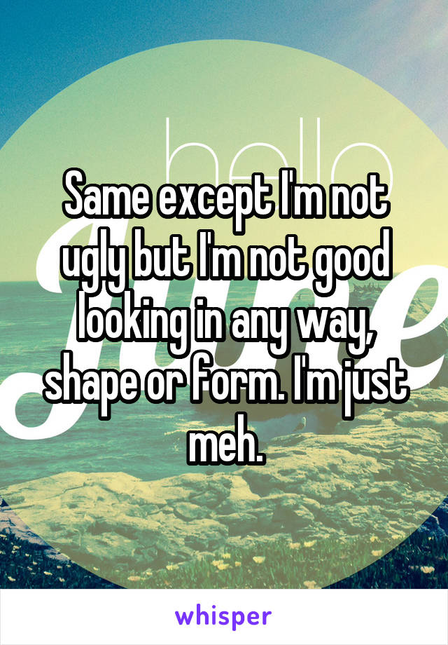 Same except I'm not ugly but I'm not good looking in any way, shape or form. I'm just meh.