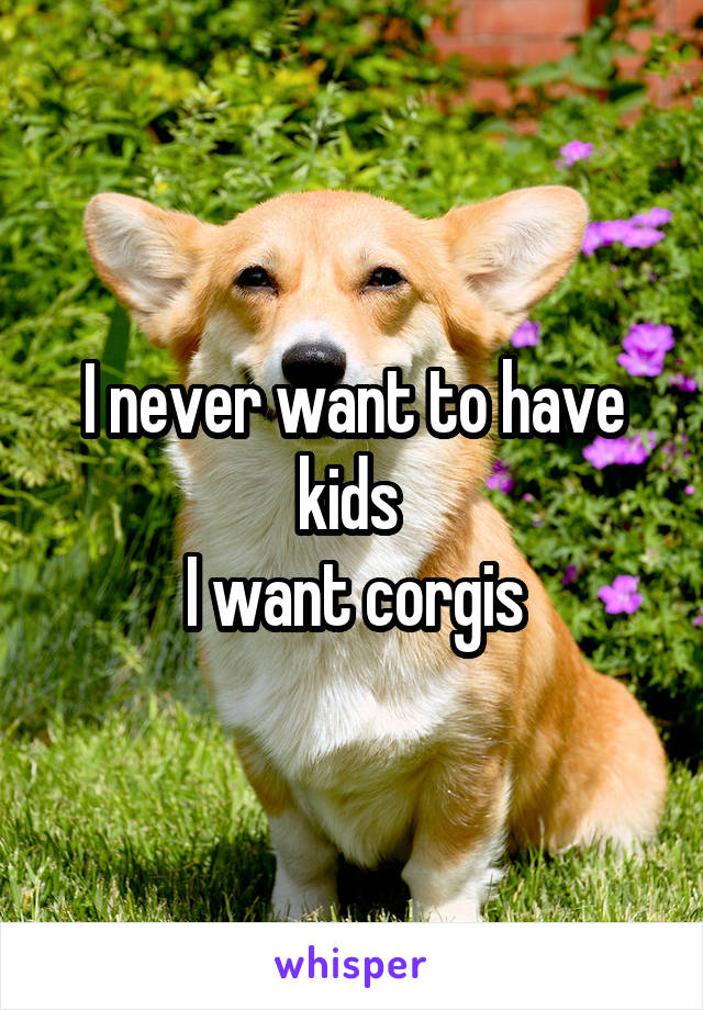 I never want to have kids 
I want corgis
