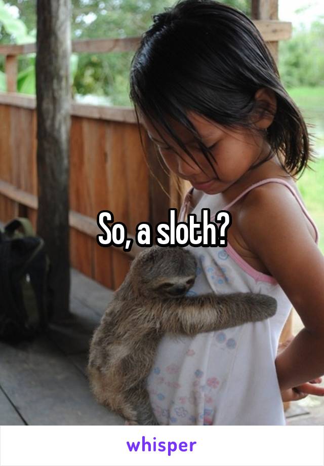 So, a sloth?