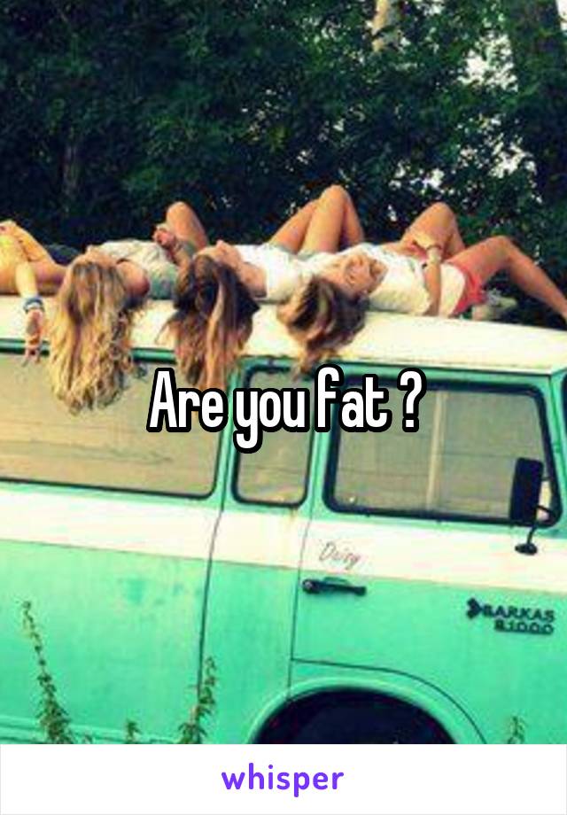 Are you fat ?