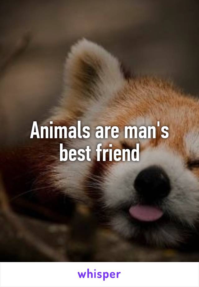 Animals are man's best friend