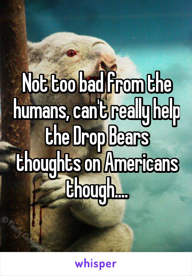 Not too bad from the humans, can't really help the Drop Bears thoughts on Americans though....
