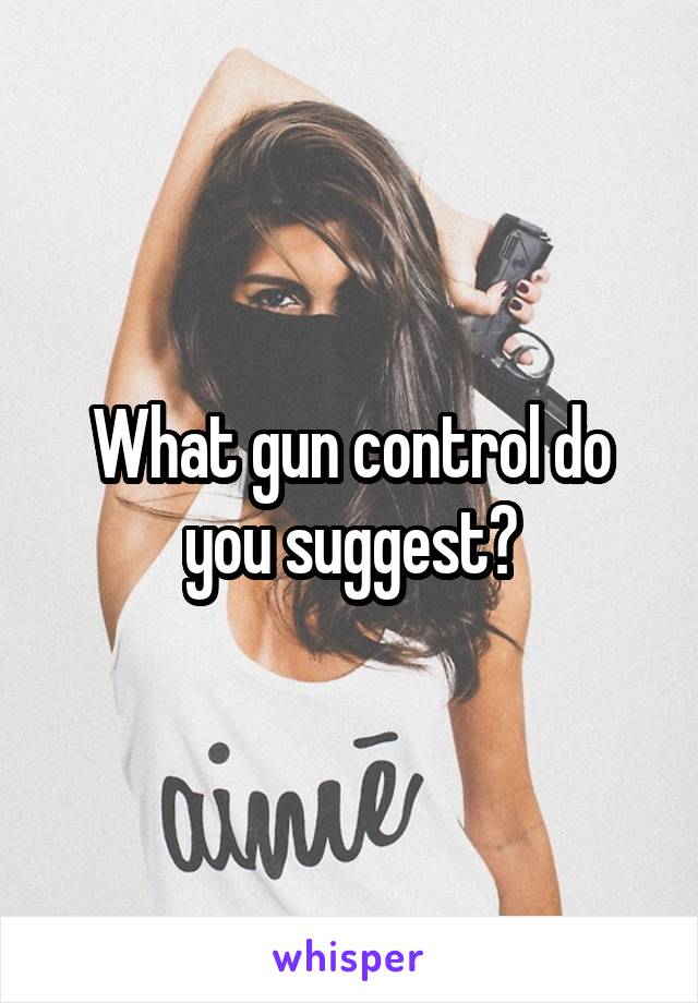 What gun control do you suggest?