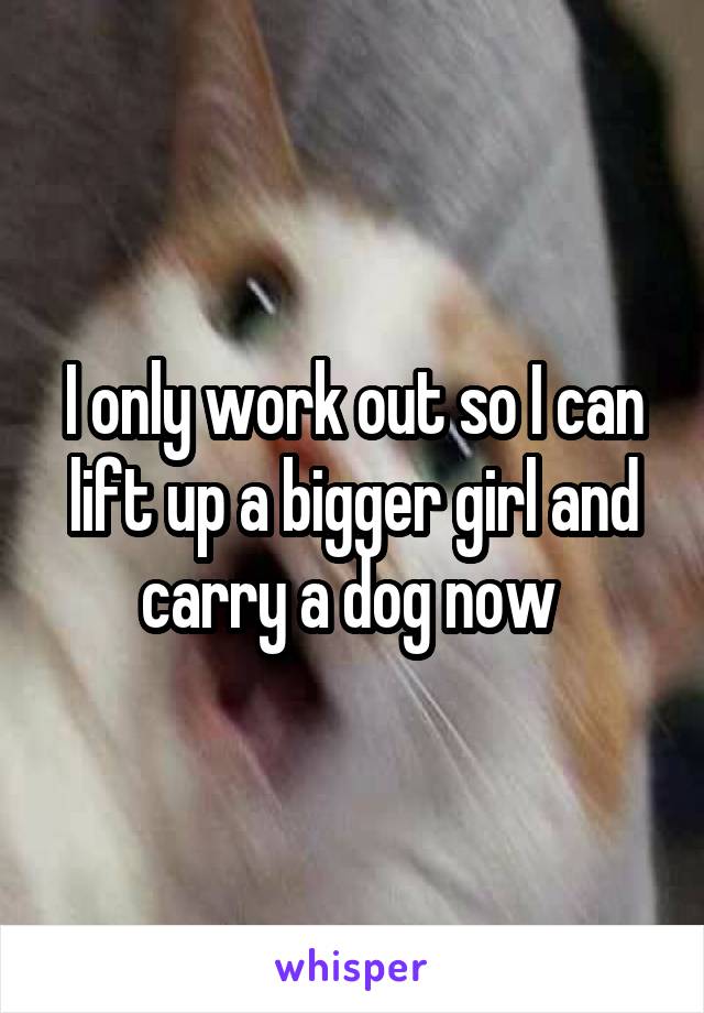 I only work out so I can lift up a bigger girl and carry a dog now 