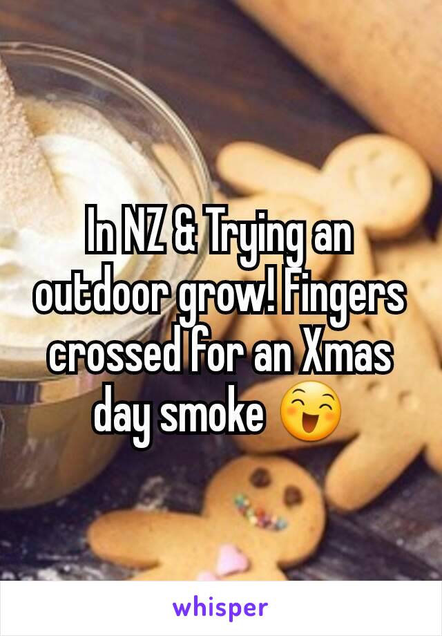 In NZ & Trying an outdoor grow! Fingers crossed for an Xmas day smoke 😄