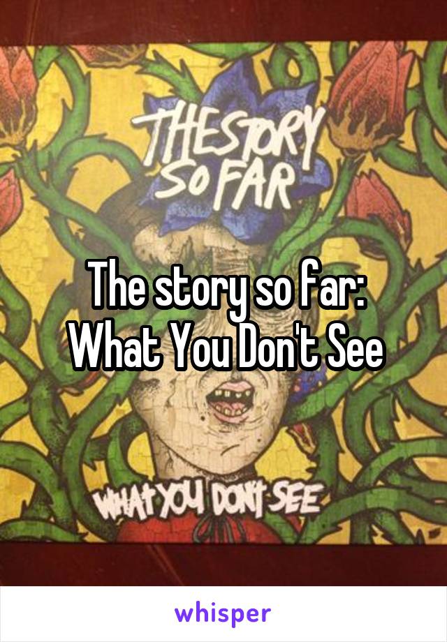 The story so far:
What You Don't See