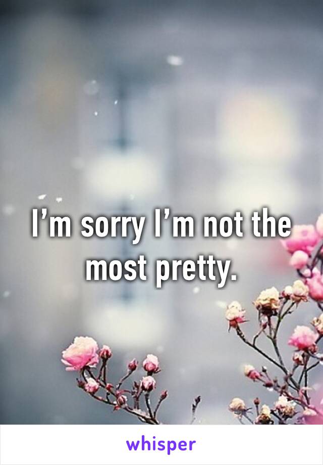 I’m sorry I’m not the most pretty. 