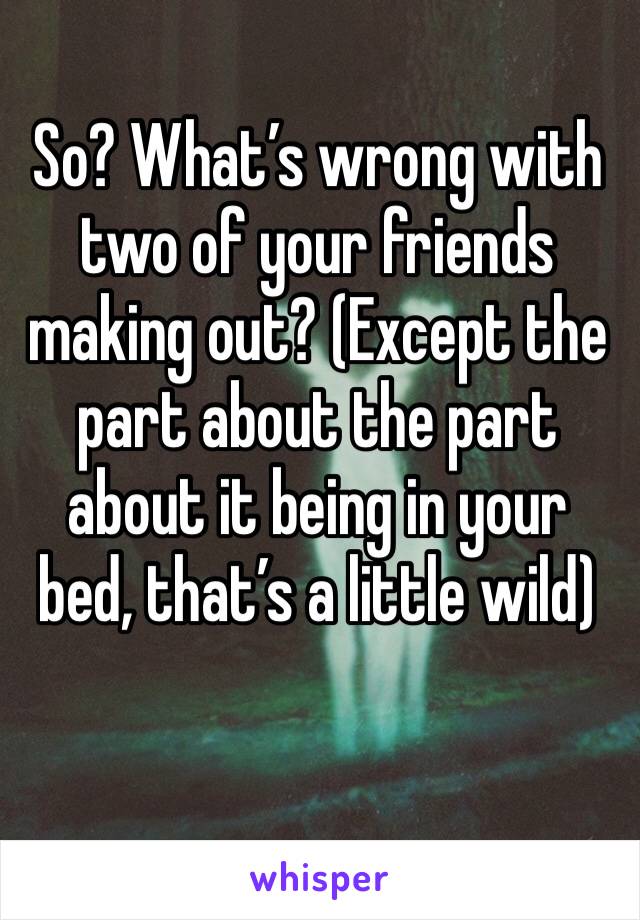 So? What’s wrong with two of your friends making out? (Except the part about the part about it being in your bed, that’s a little wild)