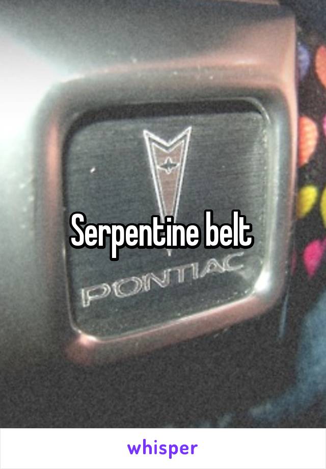 Serpentine belt 