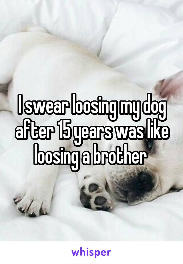 I swear loosing my dog after 15 years was like loosing a brother 