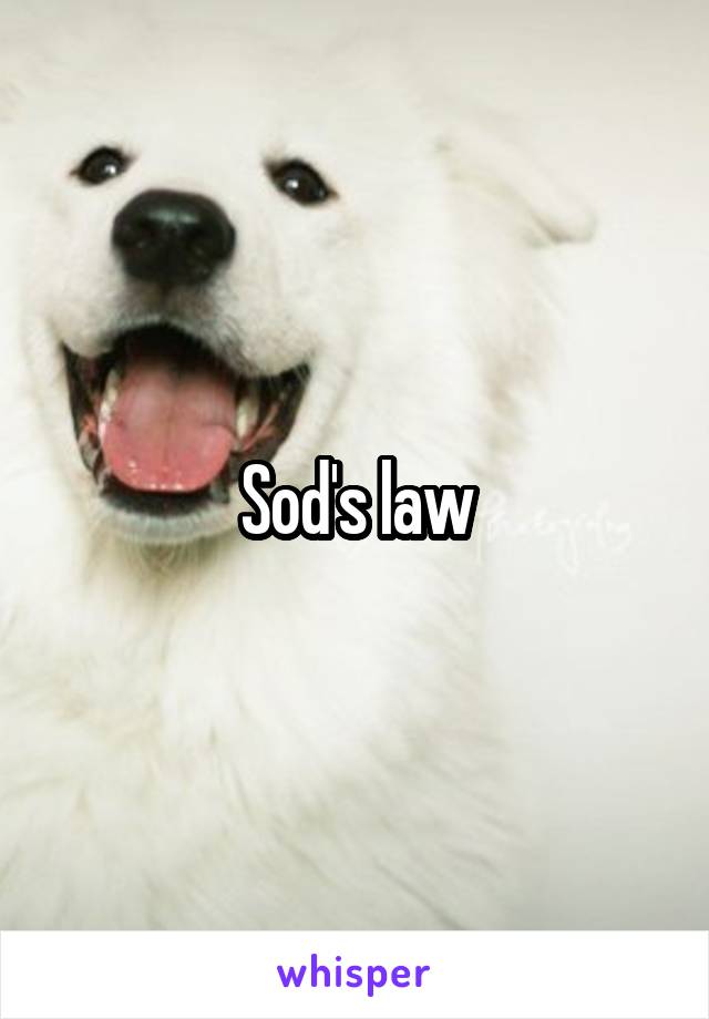 Sod's law
