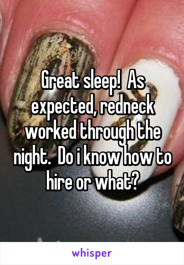 Great sleep!  As expected, redneck worked through the night.  Do i know how to hire or what?