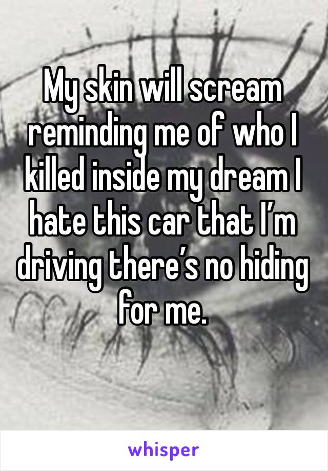 My skin will scream reminding me of who I killed inside my dream I hate this car that I’m driving there’s no hiding for me. 
