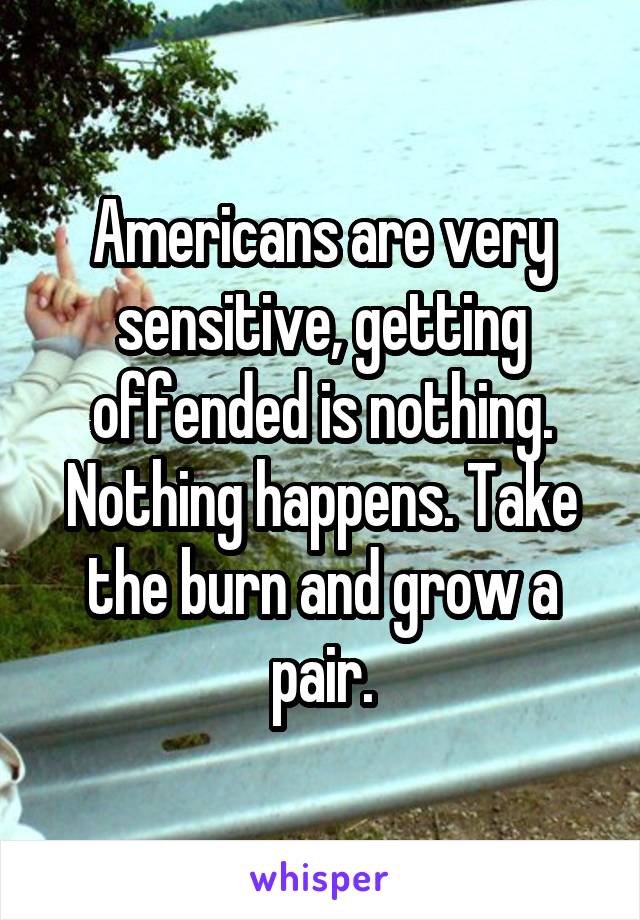Americans are very sensitive, getting offended is nothing. Nothing happens. Take the burn and grow a pair.
