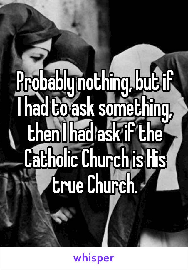 Probably nothing, but if I had to ask something, then I had ask if the Catholic Church is His true Church.