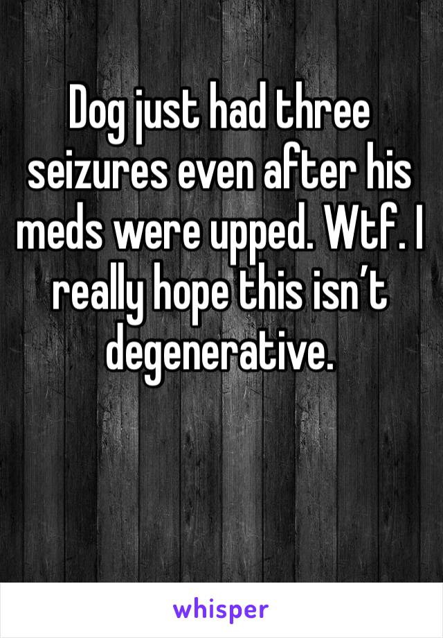 Dog just had three seizures even after his meds were upped. Wtf. I really hope this isn’t degenerative. 
