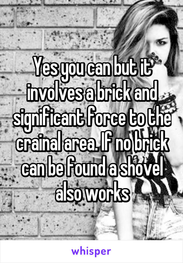Yes you can but it involves a brick and significant force to the crainal area. If no brick can be found a shovel also works