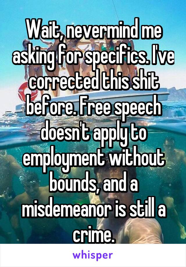 Wait, nevermind me asking for specifics. I've corrected this shit before. Free speech doesn't apply to employment without bounds, and a misdemeanor is still a crime.