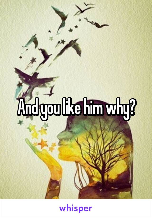 And you like him why?
