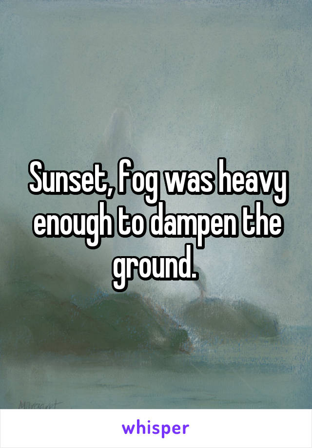 Sunset, fog was heavy enough to dampen the ground. 