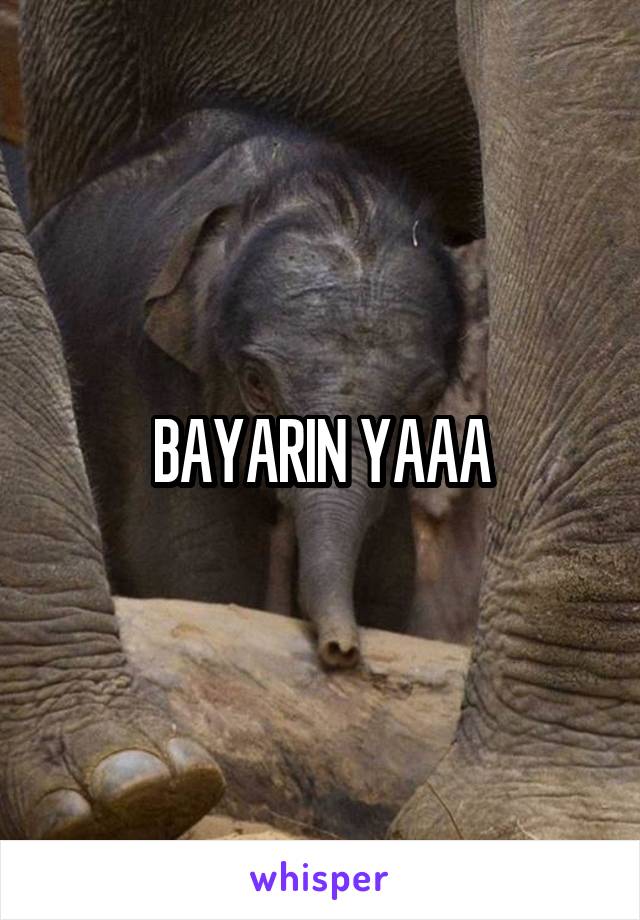 BAYARIN YAAA