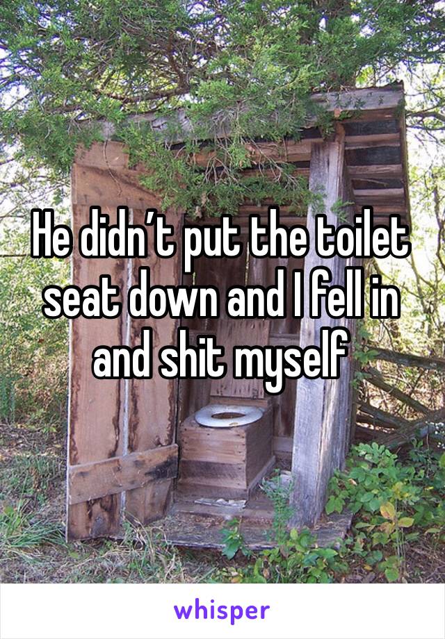 He didn’t put the toilet seat down and I fell in and shit myself
