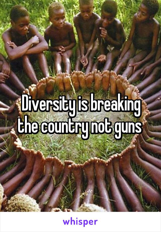 Diversity is breaking the country not guns 