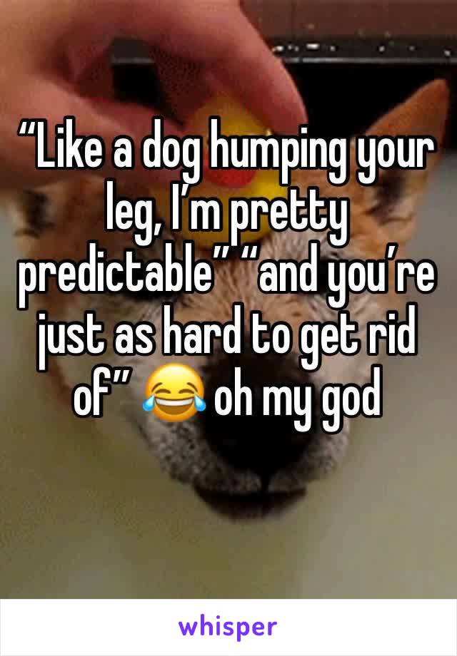“Like a dog humping your leg, I’m pretty predictable” “and you’re just as hard to get rid of” 😂 oh my god 