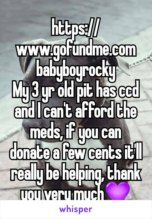 https://www.gofundme.com
babyboyrocky
My 3 yr old pit has ccd and I can't afford the meds, if you can donate a few cents it'll really be helping, thank you very much💜