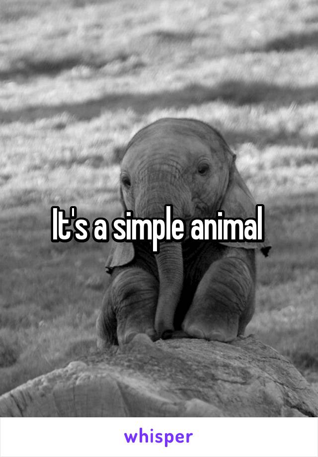 It's a simple animal 