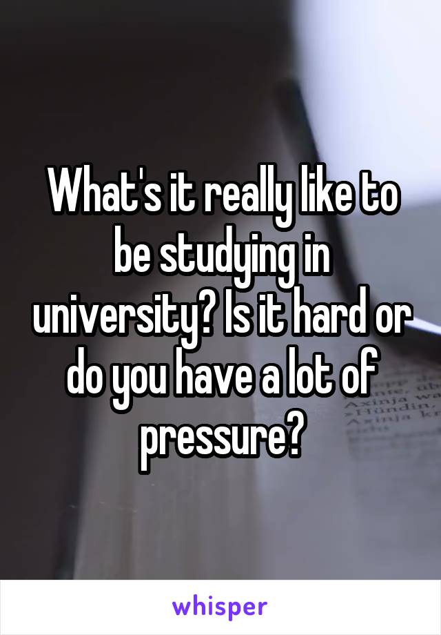 What's it really like to be studying in university? Is it hard or do you have a lot of pressure?