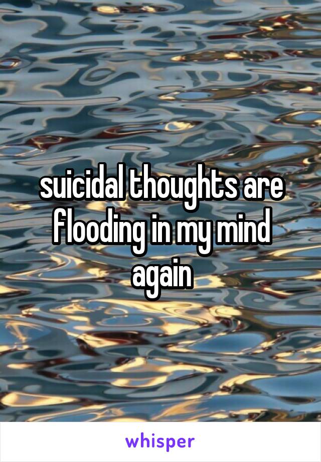 suicidal thoughts are flooding in my mind again