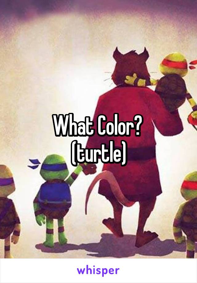 What Color? 
(turtle)