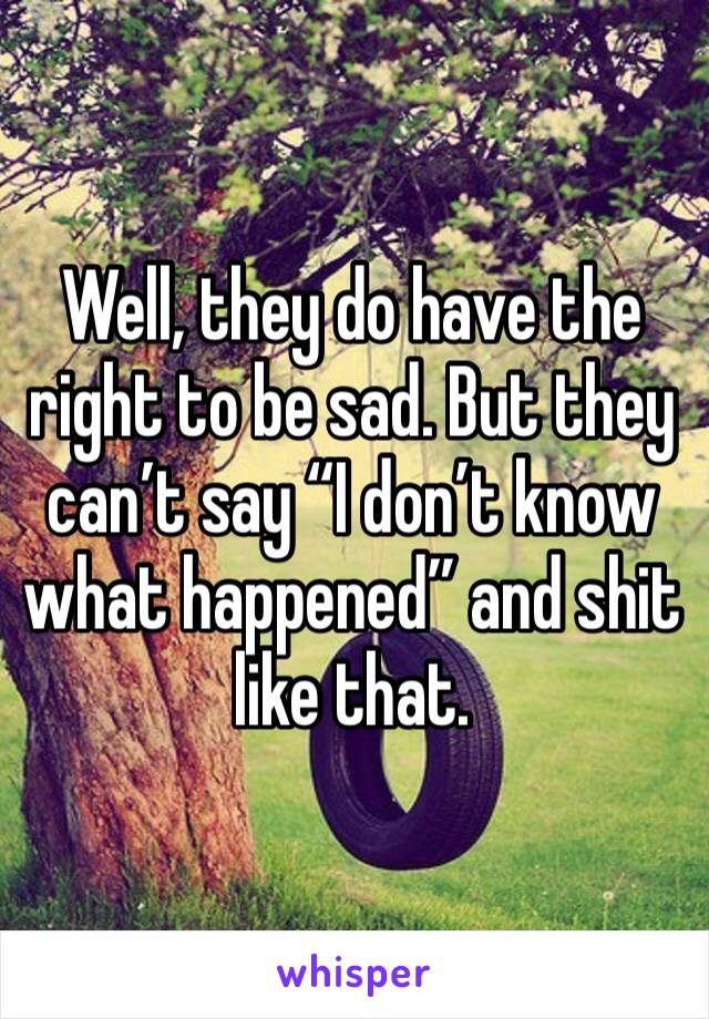 Well, they do have the right to be sad. But they can’t say “I don’t know what happened” and shit like that. 