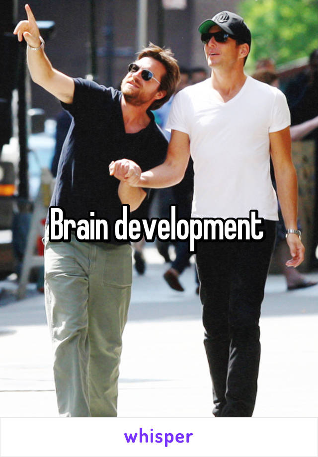 Brain development 
