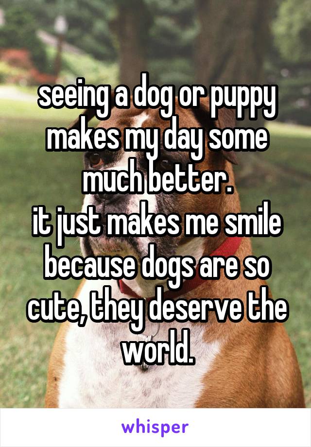 seeing a dog or puppy makes my day some much better.
it just makes me smile because dogs are so cute, they deserve the world.