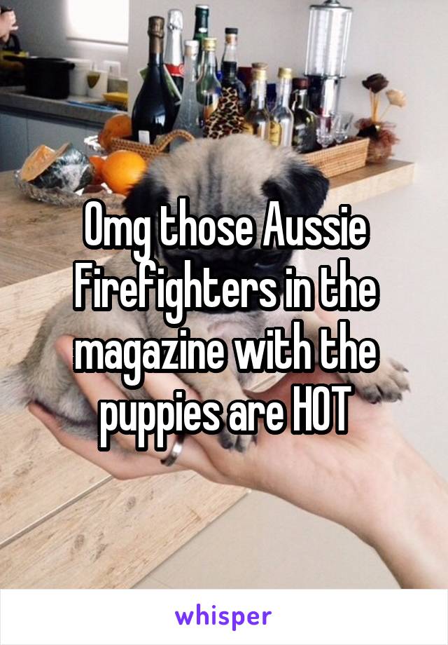 Omg those Aussie Firefighters in the magazine with the puppies are HOT