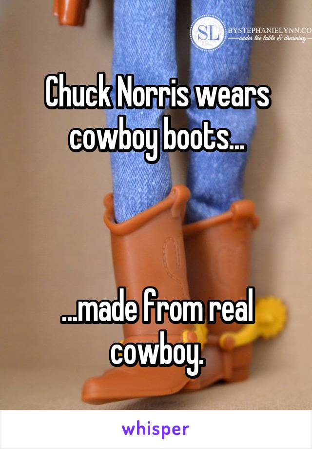 Chuck Norris wears cowboy boots...



...made from real cowboy.