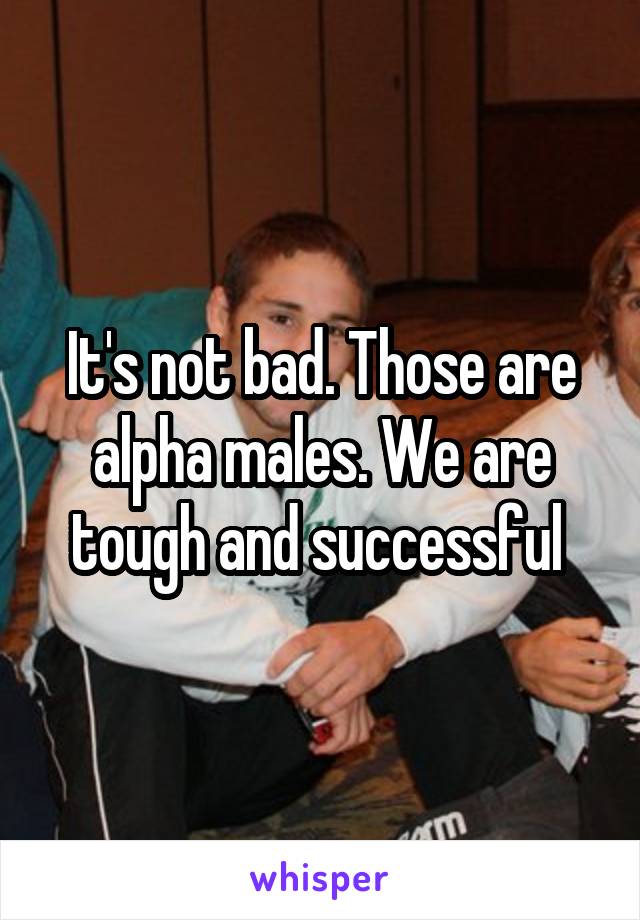 It's not bad. Those are alpha males. We are tough and successful 
