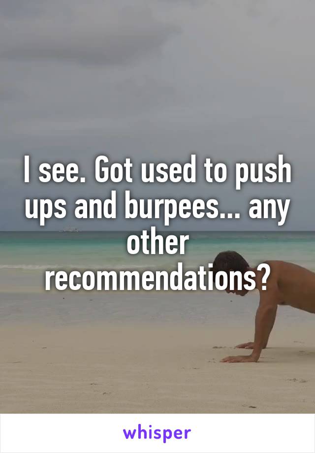 I see. Got used to push ups and burpees... any other recommendations?