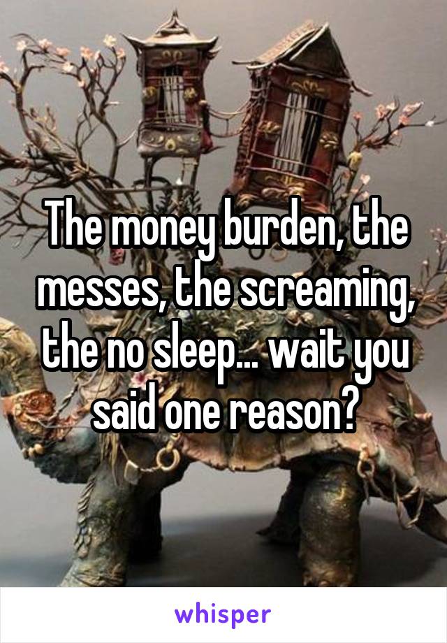 The money burden, the messes, the screaming, the no sleep... wait you said one reason?