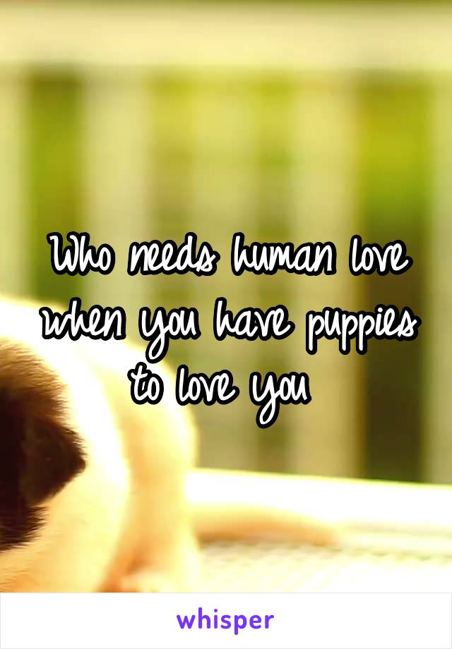 Who needs human love when you have puppies to love you 